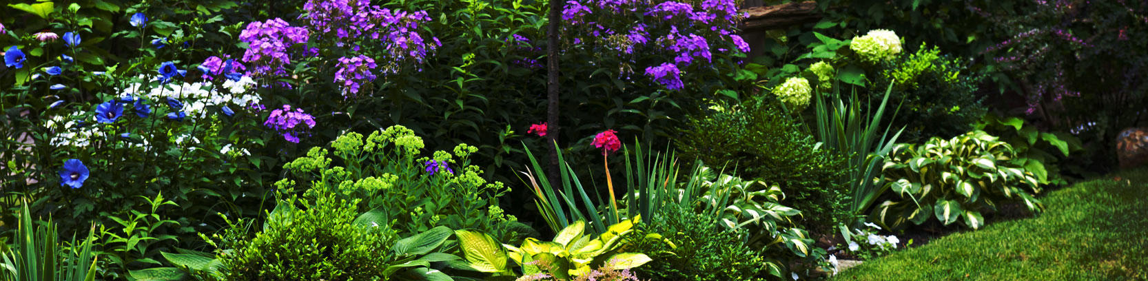 fusion landscape professional