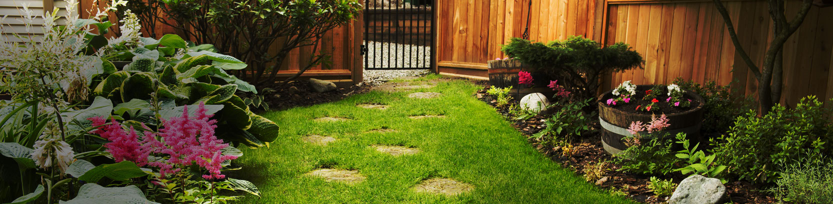 fusion landscape professional